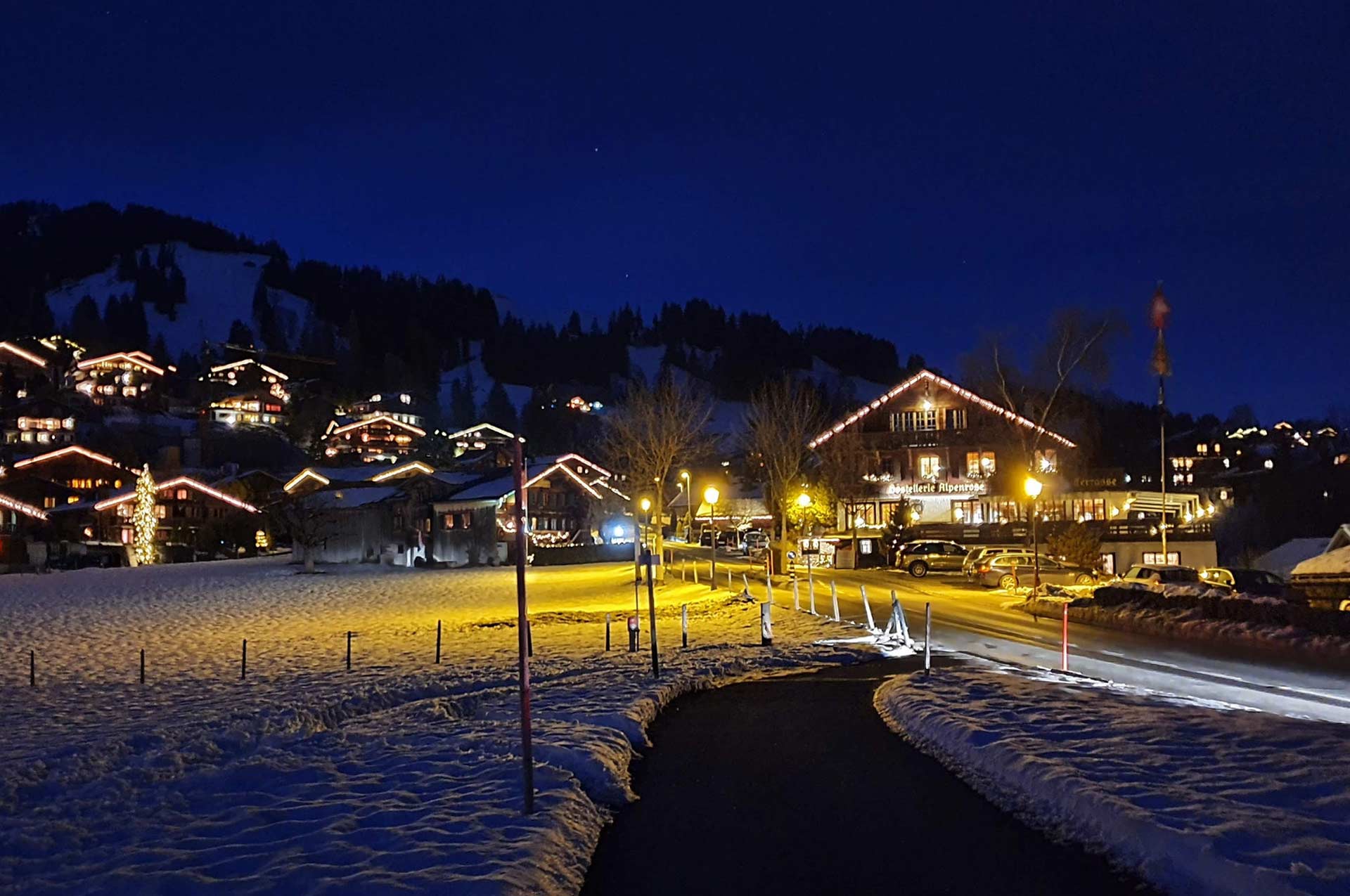 Hotel Alpenhof - Schönried -